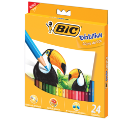 LAPIS DE COR BIC EVOLUT.24 CORES 902638
