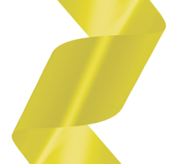 FITILHO PRES.LISO 5MMX50MT PT C/10RL AM 04