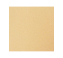 PLACA E.V.A 40X47 BEGE C/10 017