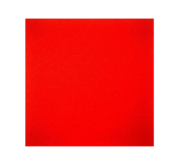 PLACA E.V.A 40X47 VERMELHO VIVO C/10 504