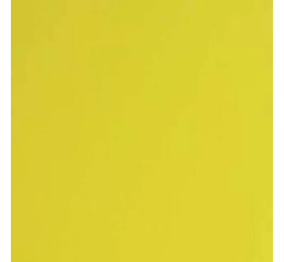 PLACA E.V.A 40X60 AMARELO C/10 005