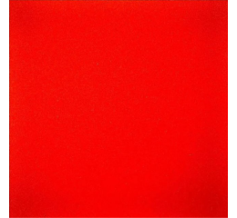 PLACA E.V.A 40X60 VERMELHO VIVO C/10 504