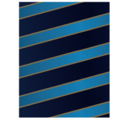 PAPEL PRESENTE ADULTO 50X60 C/20 704