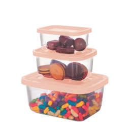 CONJ.ORGANIZ.RET.PMG 260/520/1300 C/3P&Ccedil;S 3080 C/12