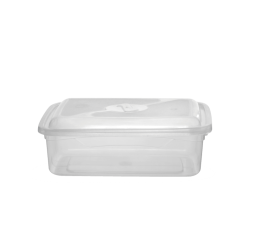 CAIXA ORGANIZADORA RET.TRANSP.2,5LTS 6882 C/24