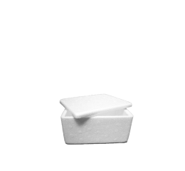 CAIXA ISOPOR TERMICA 250GR