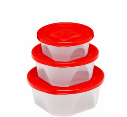 CONJ.BRASIL RED.PMG 370/740/1220ML 3136 GR21 C/12