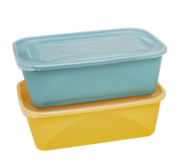 KIT 2 PEÇAS ORGANIZA GDE.RET.3,6LTS 6333 MIX