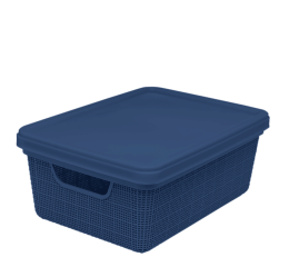 CAIXA ORGANIZ.JUTA C/TPA 28X20X11,5 5LTS 3127