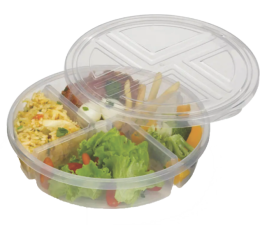 CONSERVADORA DE ALIMENTOS 4 DIV.22X5CM 050.012.001