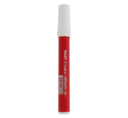 PILOT COLOR 850 AVULSO C/12 VM