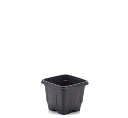 VASO P/PLANTA QUAD.MINI 9,5CM(ALT) PTO 450ML 238