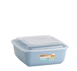 CAIXA VERSATIL MULTIUSO QUAD.4LT CORES 30 C/24