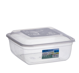 CAIXA VERSATIL MULTIUSO QUAD.4LT TRANSP.408 C/24