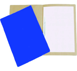 PASTA PAPELAO C/GRAMPO LISA AZUL-ESC.C/20 1026AE