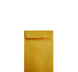 ENVELOPE K.OURO 75GR 176X250 191.R C/100