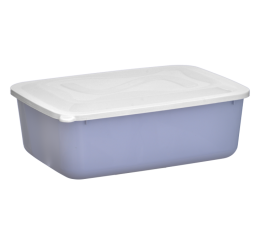 CAIXA ORGANIZE 6LTS C/T 32X23X10CM CORES 9910