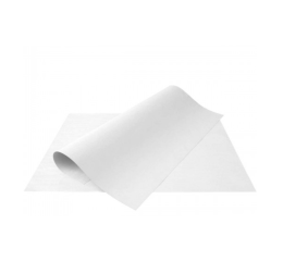 PAPEL CARTOLINA BRANCA 120GR 05101 C/100FLS