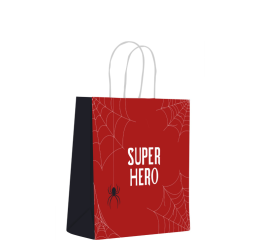 SACOLA INF.C/AL&Ccedil;A ARANHA 16,4X21X8,5 P 12107 C/10