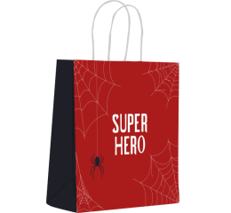 SACOLA INF.C/AL&Ccedil;A ARANHA 22,5X31,5X10 M 13107 C/10