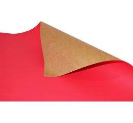 PAPEL CARTAO 48X66 210GR VERMELHO C/20