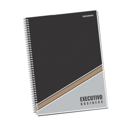 CADERNO EXECUTIVO C.D.96FLS 275X200 C/4 4702