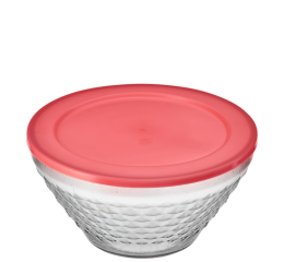 POTICHE BICO DE JACA C/TPA PLAST.2,5LTS 3590 C/6