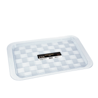 BANDEJA CRISTAL RET.25X39CM K07
