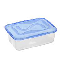 CAIXA TOPA TUDO TRANSP.C/T 6LTS 32X23X10CM 910