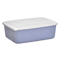 CAIXA ORGANIZE 6LTS C/T 32X23X10CM CORES 9910