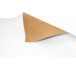 PAPEL CARTAO 48X66 210GR BRANCO C/20