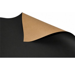 PAPEL CARTAO 48X66 210GR PRETO C/20