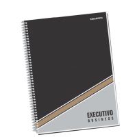 CADERNO EXECUTIVO C.D.96FLS 275X200 C/4 4702